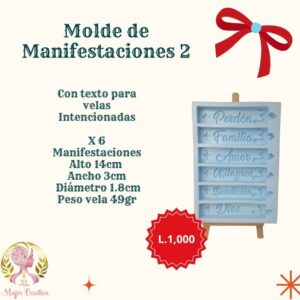 Molde manifestaciones 2