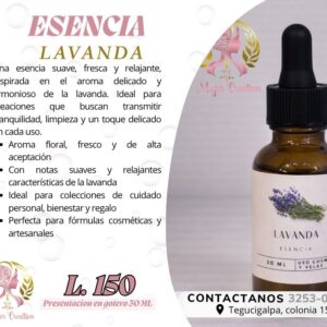 Esencia Lavanda